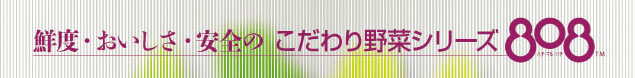 鮮度・おいしさ・安全のこだわり野菜シリーズ808